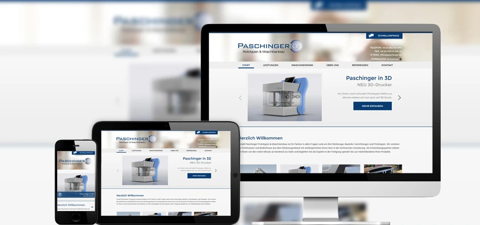 Website Paschinger