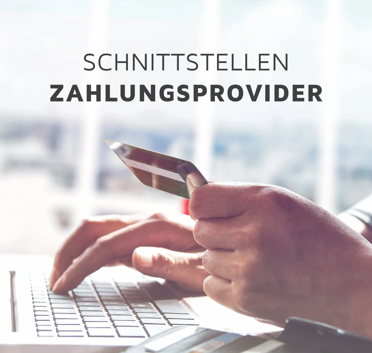 Schnittstellen zu Zahlungsprovider